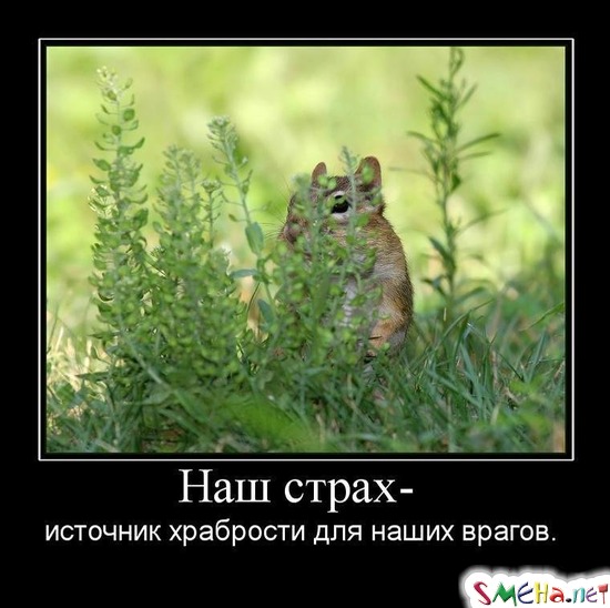 Наш страх -  источник храбрости для наших врагов.
