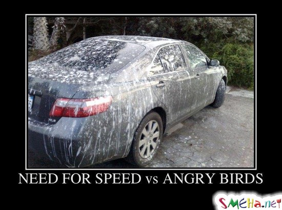 NEED FOR SPEED vs ANGRY BIRDS
