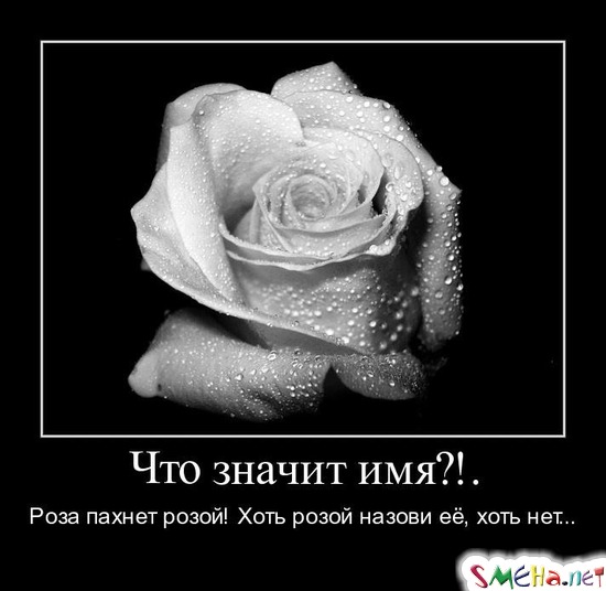 Что значит имя?!. - Роза пахнет розой! Хоть розой назови её, хоть нет...