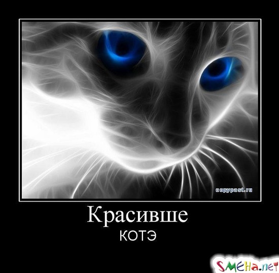 Красивше - КОТЭ