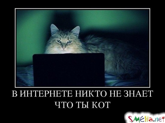 В ИНТЕРНЕТЕ НИКТО НЕ ЗНАЕТ ЧТО ТЫ КОТ