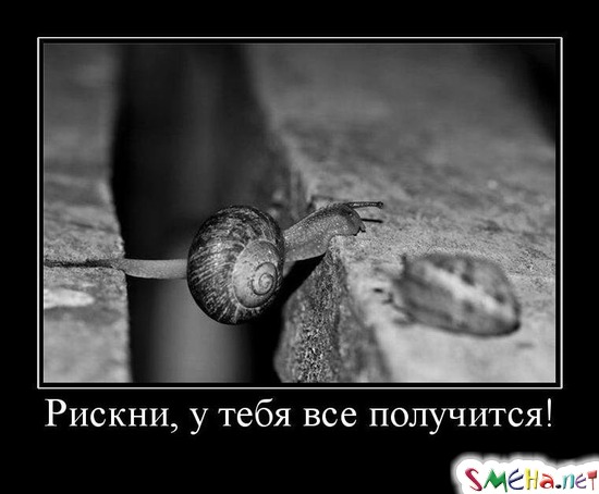 Рискни, у тебя все получится!