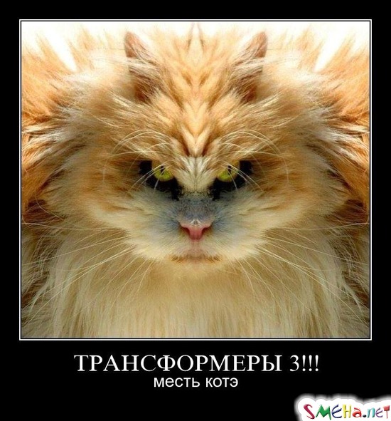 ТРАНСФОРМЕРЫ 3!!! - месть котэ
