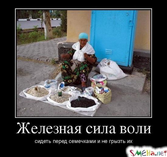 Железная сила воли - сидеть перед семечками и не грызть их