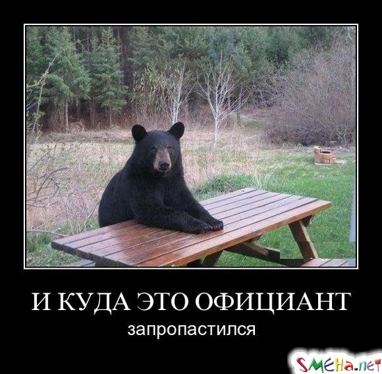 И КУДА ЭТО ОФИЦИАНТ - запропастился