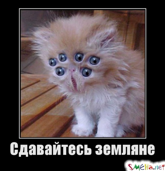 Сдавайтесь земляне