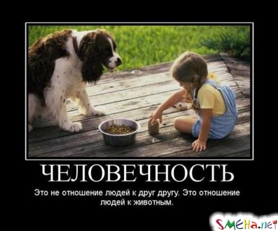 Человечность - Это не отношение людей к друг другу. Это отношение людей к животным
