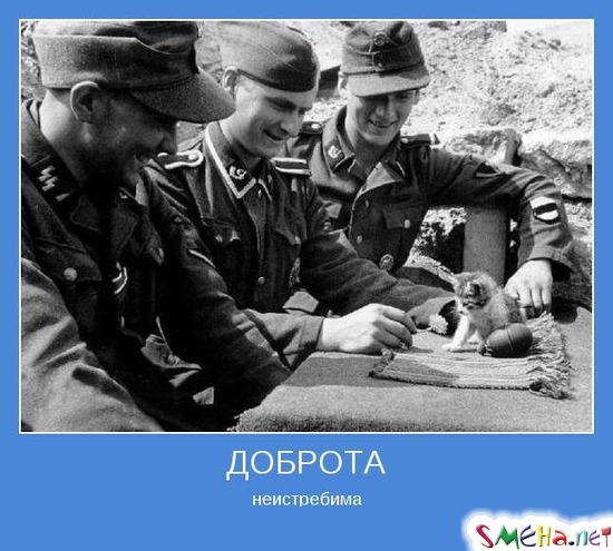 ДОБРОТА - неистребима