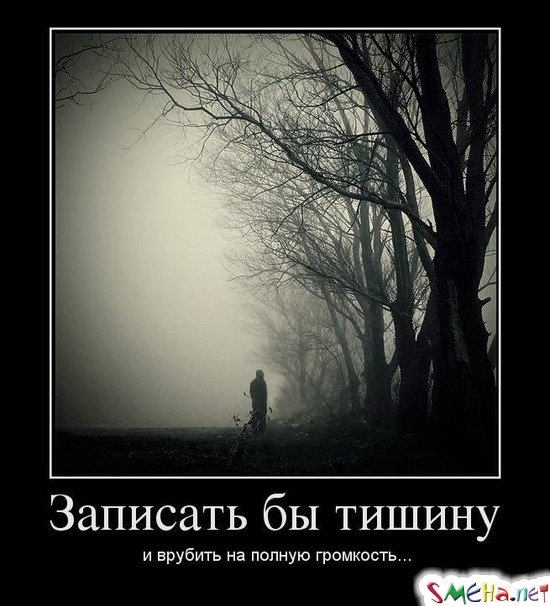 Записать бы тишину и врубить на полную громкость