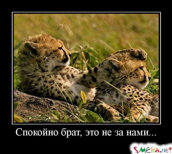 Спокойно брат, это не за нами...