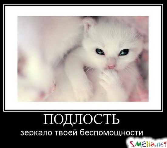 Подлость - зеркало твоей беспомощности