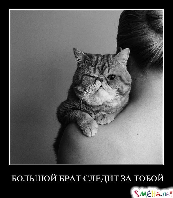 БОЛЬШОЙ БРАТ СЛЕДИТ ЗА ТОБОЙ