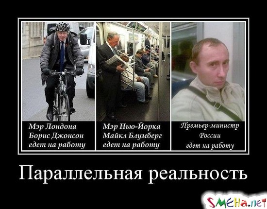 Параллельная реальность