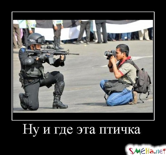 Ну и где эта птичка