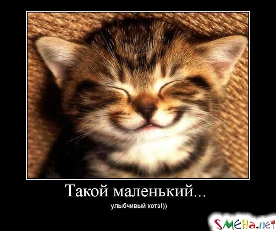 Такой маленький... улыбчивый котэ!))