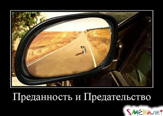 Преданность и Предательство