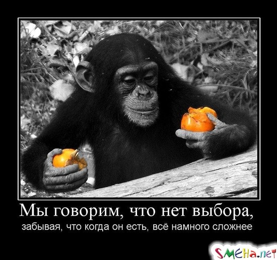 Мы говорим, что нет выбора, - забывая, что когда он есть, всё намного сложнее