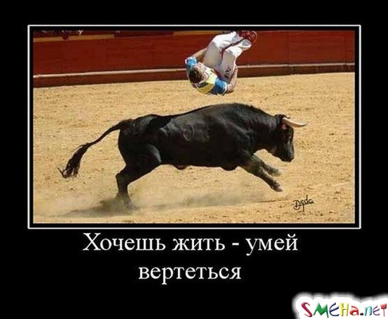 Хочешь жить - умей вертется