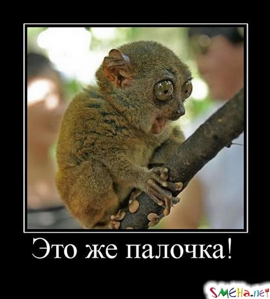 Это же палочка!