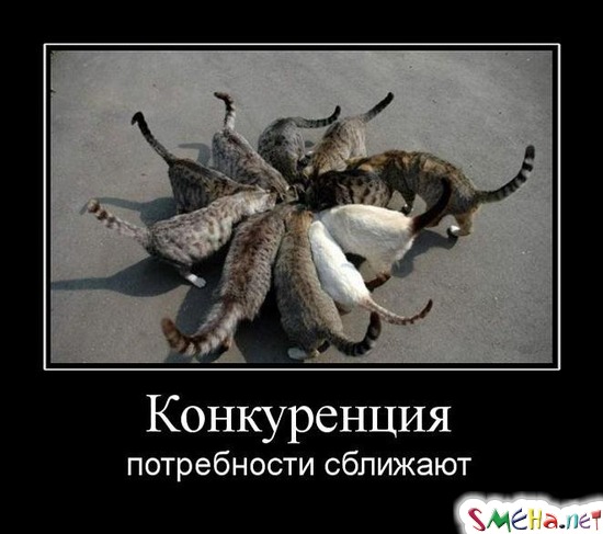 Конкуренция - потребности сближают