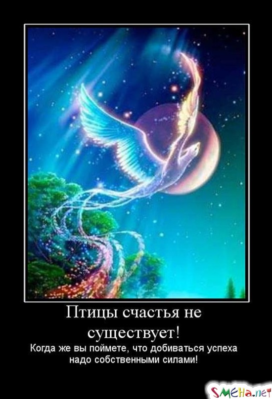 Птицы счастья не существует! Когда же вы поймете, что добиваться успеха надо собственными силами!