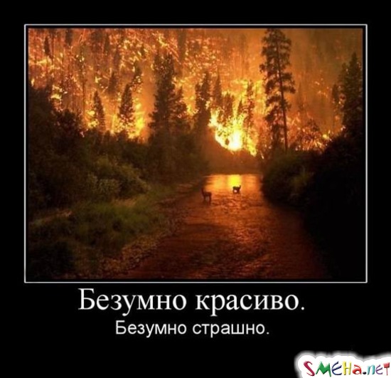 Безумно красиво. - Безумно страшно.