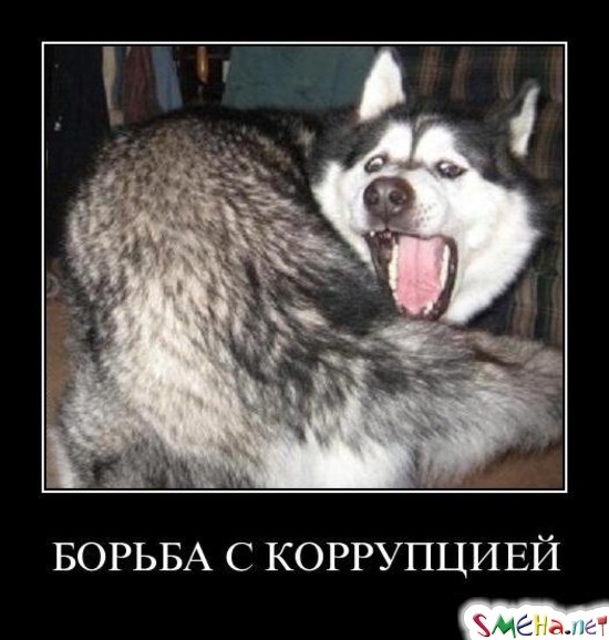 БОРЬБА С КОРРУПЦИЕЙ