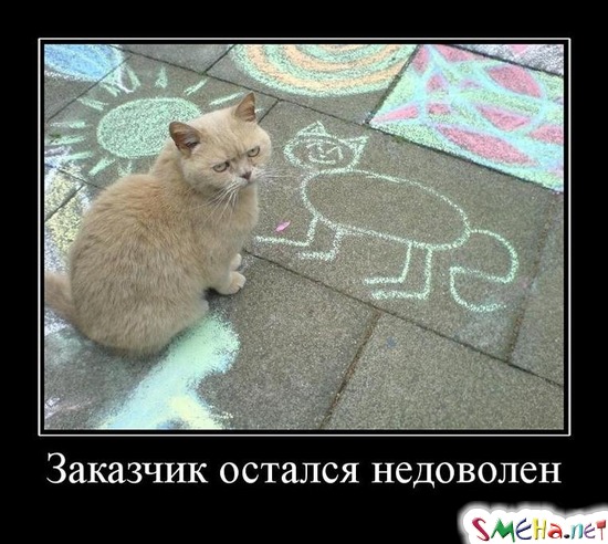 Заказчик остался недоволен