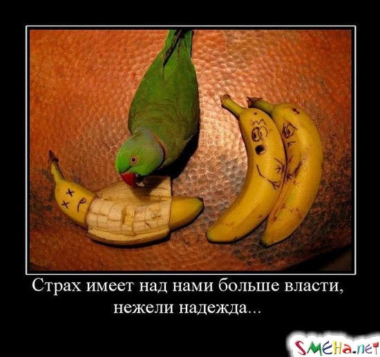 Страх имеет над нами больше власти, нежели надежда...