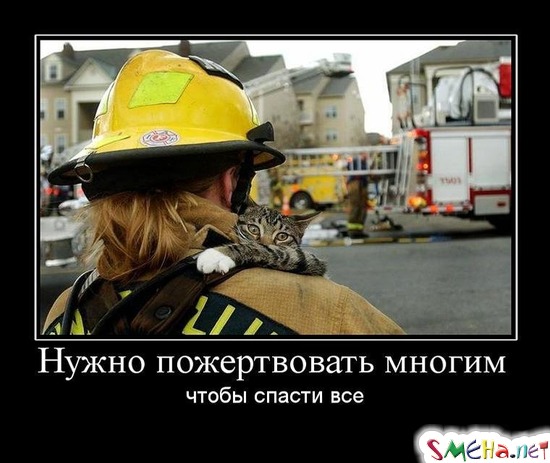 Нужно пожертвовать многим - чтобы спасти все