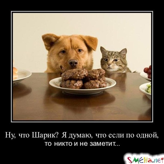 Ну, что Шарик? Я думаю, что если по одной, - то никто и не заметит...