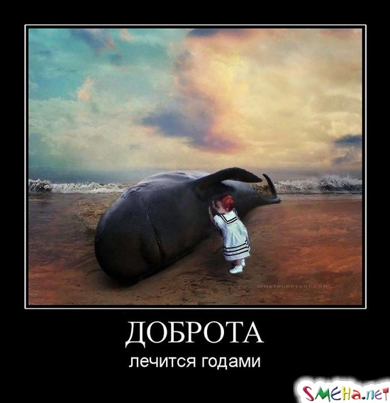 ДОБРОТА - лечится годами