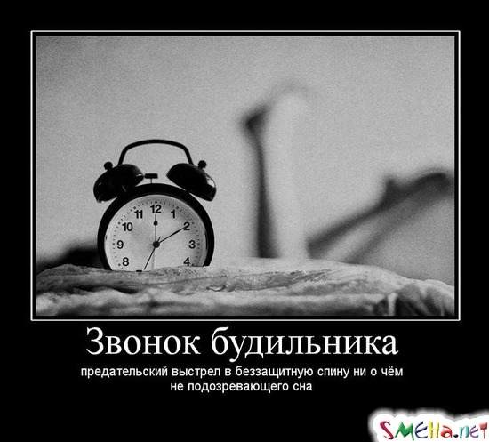 Звонок будильника - предательский выстрел в беззащитную спину ни о чём не подозревающего сна