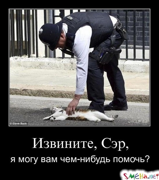 Извините, Сэр, - я могу вам чем-нибудь помочь?