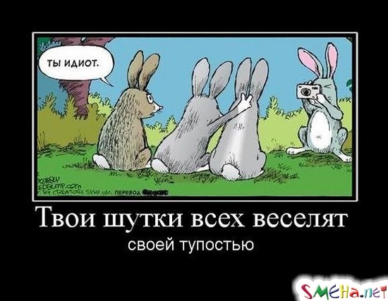 Твои шутки всех веселят  - своей тупостью