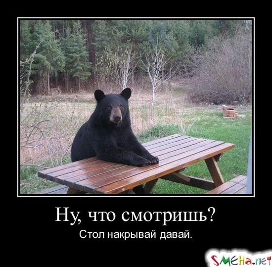 Ну, что смотришь? - Стол накрывай давай.