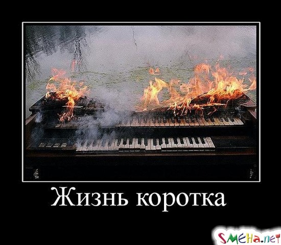 Жизнь коротка