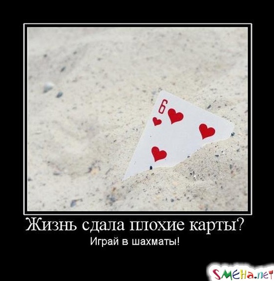 Жизнь сдала плохие карты? - Играй в шахматы!