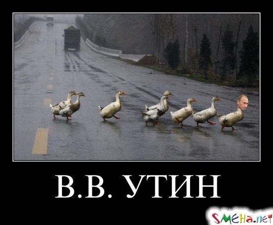 В.В. УТИН