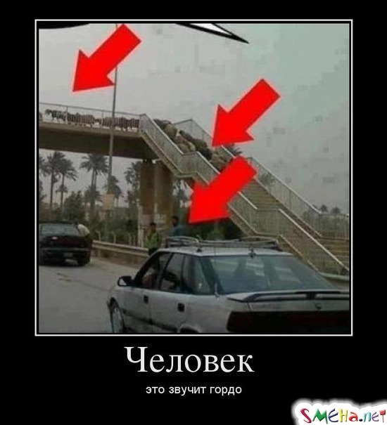 Человек - это звучит гордо
