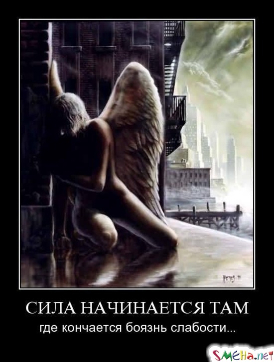 СИЛА НАЧИНАЕТСЯ ТАМ - где кончается боязнь слабости...