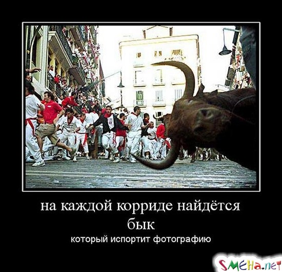 На каждой корриде найдётся бык который испортит фотографию