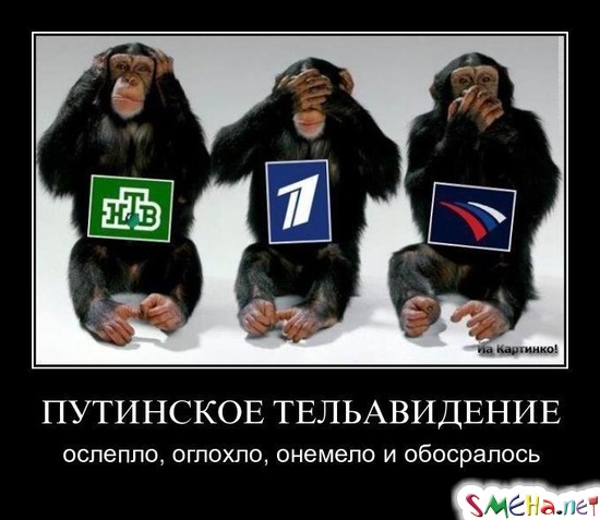 ПУТИНСКОЕ ТЕЛЬАВИДЕНИЕ - ослепло, оглохло, онемело и обосралось