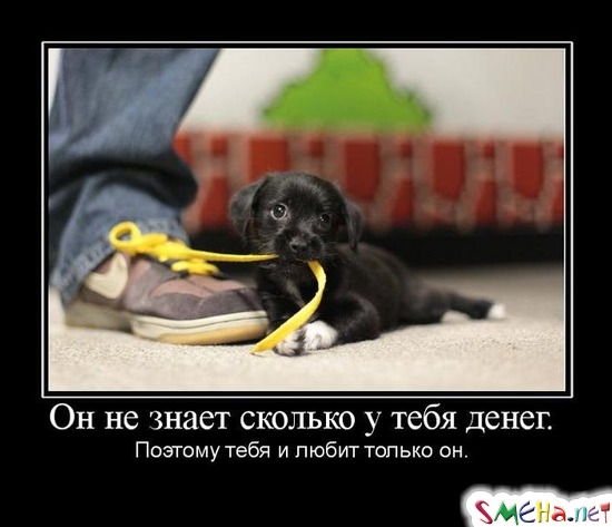 Он не знает сколько у тебя денег. Поэтому тебя и любит только он.