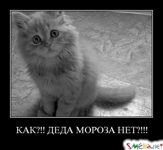 КАК!! ДЕДА МОРОЗА НЕТ?!!!