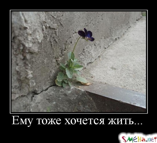 Ему тоже хочется жить...