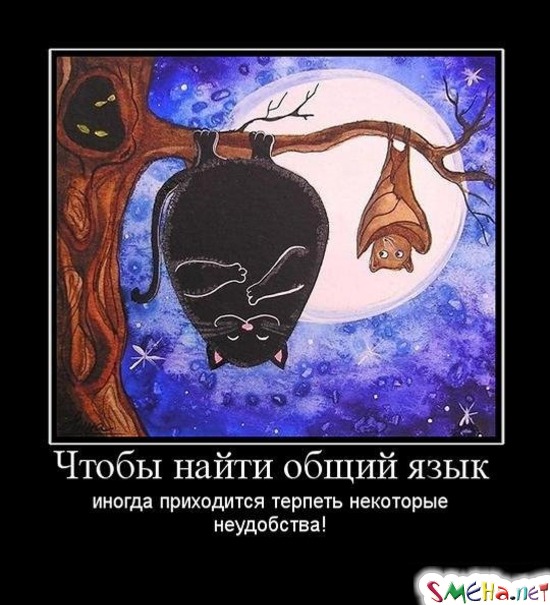 Чтобы найти общий язык иногда приходится терпеть некоторые неудобства!