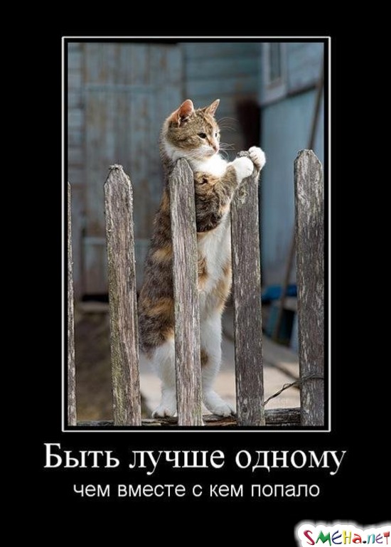 Быть лучше одному - чем вместе с кем попало