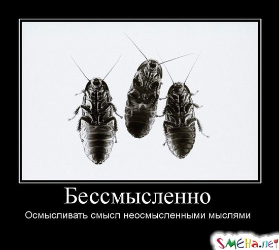 Бессмысленно - Осмысливать смысл неосмысленными мыслями