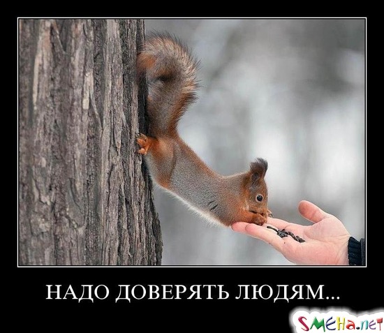 НАДО ДОВЕРЯТЬ ЛЮДЯМ...